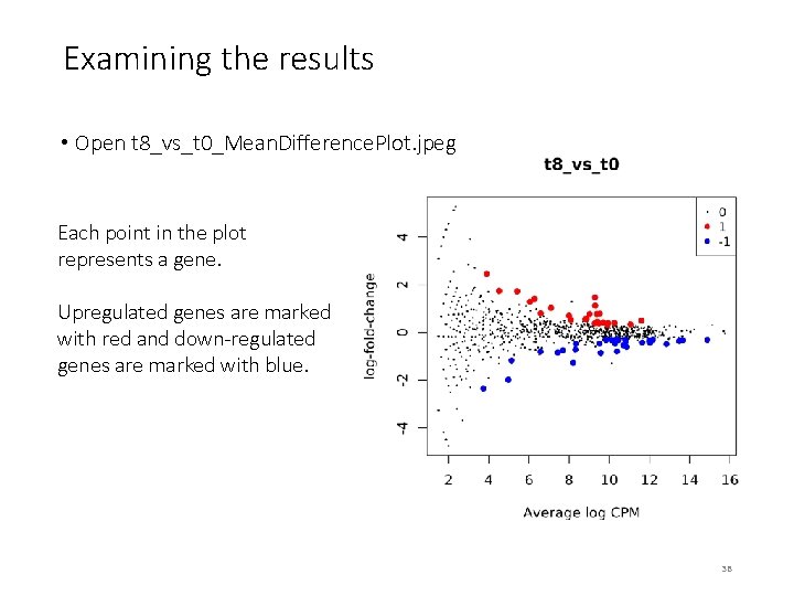 Examining the results • Open t 8_vs_t 0_Mean. Difference. Plot. jpeg Each point in