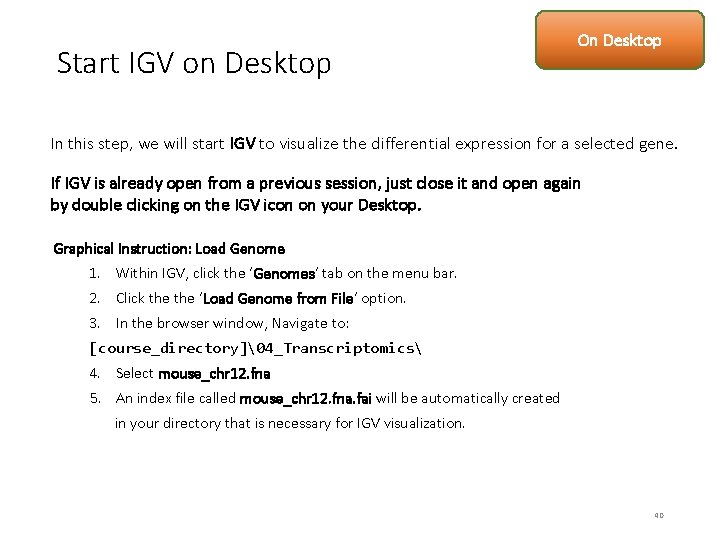 Start IGV on Desktop On Desktop In this step, we will start IGV to