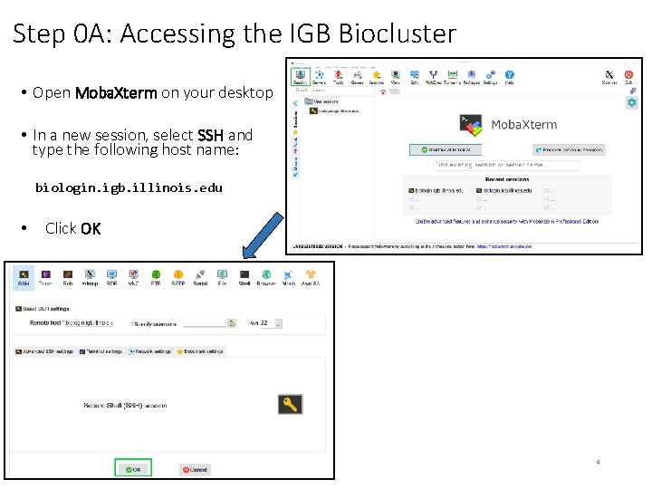 Step 0 A: Accessing the IGB Biocluster • Open Moba. Xterm on your desktop