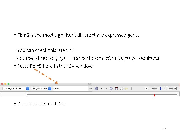  • Fbln 5 is the most significant differentially expressed gene. • You can