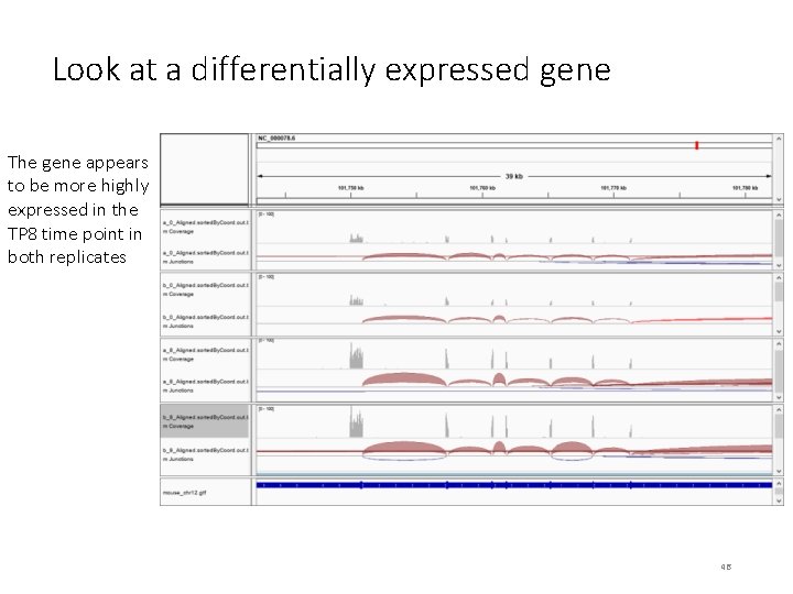 Look at a differentially expressed gene The gene appears to be more highly expressed