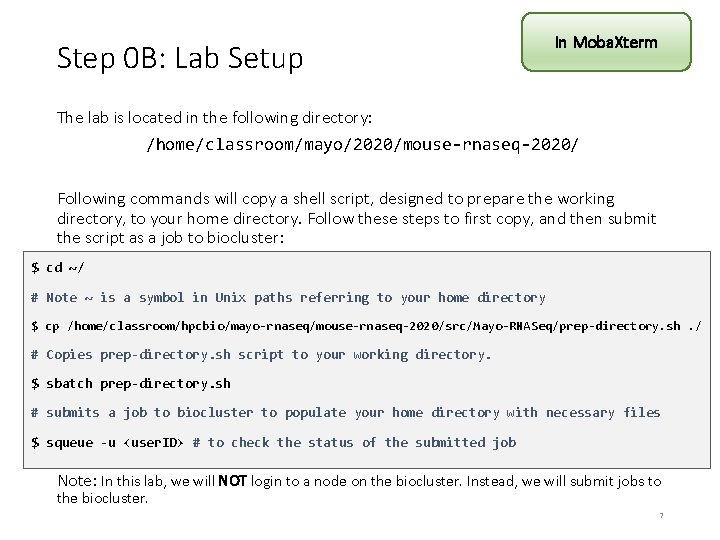 Step 0 B: Lab Setup In Moba. Xterm The lab is located in the