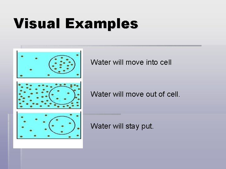 Visual Examples Water will move into cell Water will move out of cell. Water