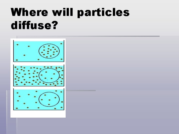 Where will particles diffuse? 