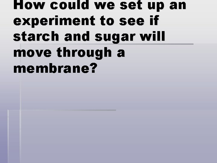 How could we set up an experiment to see if starch and sugar will