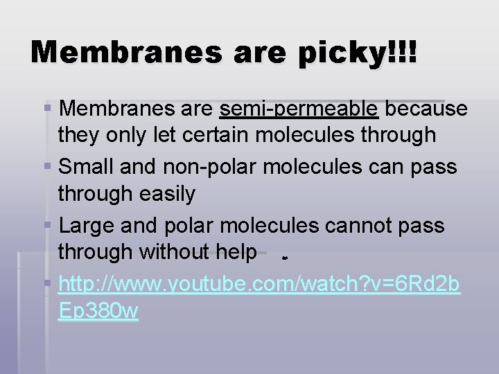 Membranes are picky!!! § Membranes are semi-permeable because they only let certain molecules through
