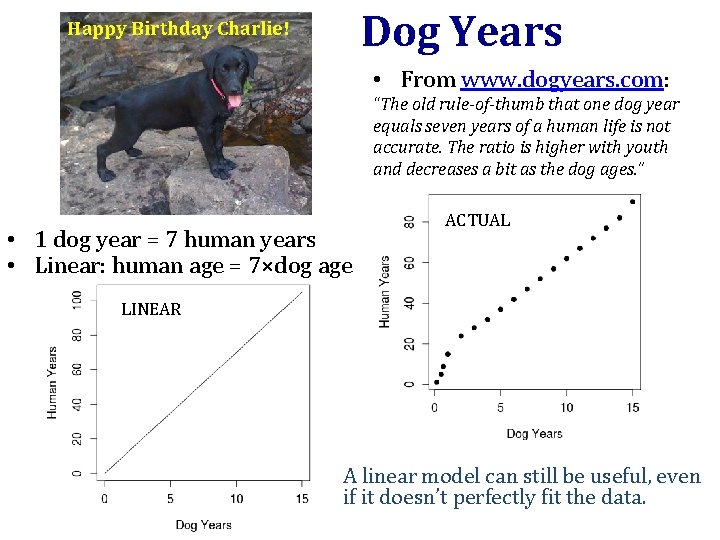 Dog Years Happy Birthday Charlie! • From www. dogyears. com: “The old rule-of-thumb that