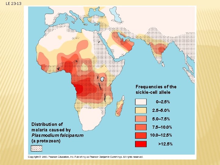 LE 23 -13 Frequencies of the sickle-cell allele 0– 2. 5% 2. 5– 5.