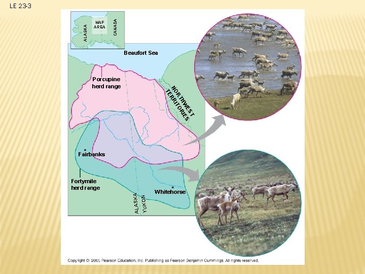 MAP AREA CANADA ALASKA LE 23 -3 Beaufort Sea T ES S HW RIE