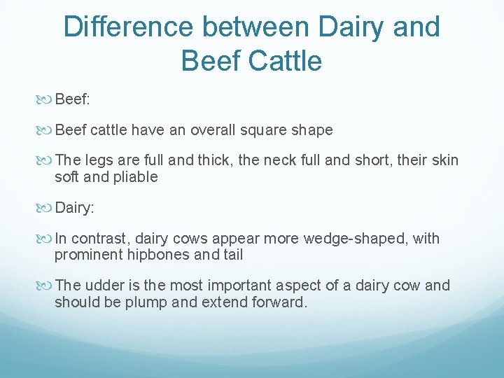 Difference between Dairy and Beef Cattle Beef: Beef cattle have an overall square shape