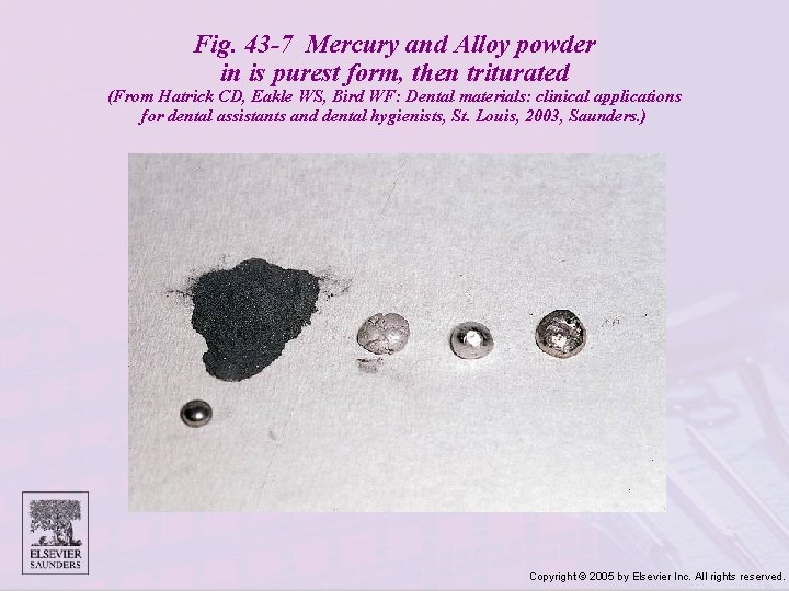 Fig. 43 -7 Mercury and Alloy powder in is purest form, then triturated (From