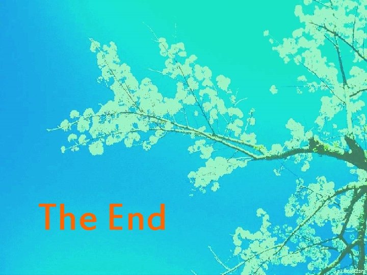 The End 