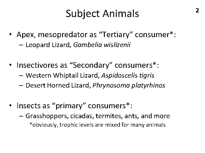 Subject Animals • Apex, mesopredator as “Tertiary” consumer*: – Leopard Lizard, Gambelia wislizenii •