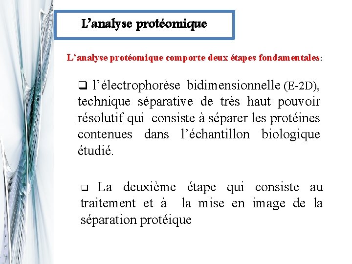 L’analyse protéomique comporte deux étapes fondamentales: q l’électrophorèse bidimensionnelle (E-2 D), technique séparative de