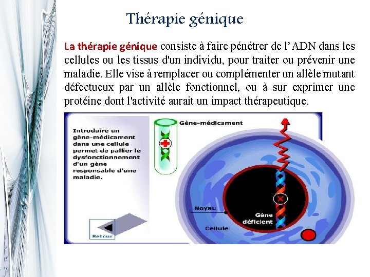 Thérapie génique La thérapie génique consiste à faire pénétrer de l’ADN dans les cellules