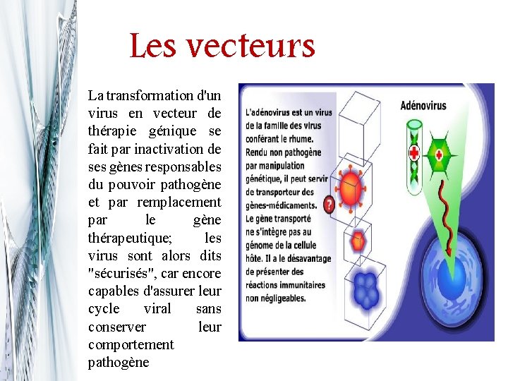 Les vecteurs La transformation d'un virus en vecteur de thérapie génique se fait par