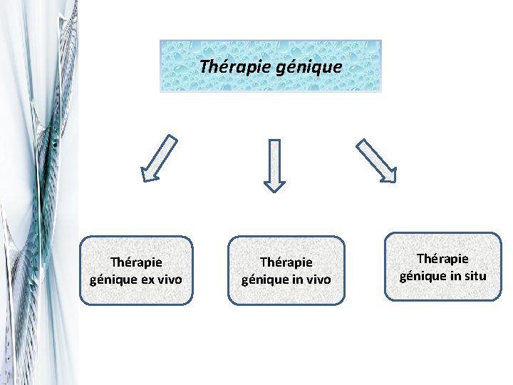 Thérapie génique ex vivo Thérapie génique in situ 