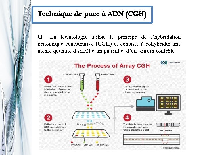 Technique de puce à ADN (CGH) La technologie utilise le principe de l’hybridation génomique