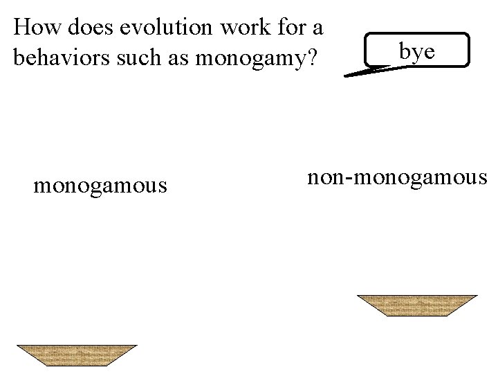 How does evolution work for a behaviors such as monogamy? monogamous bye non-monogamous 