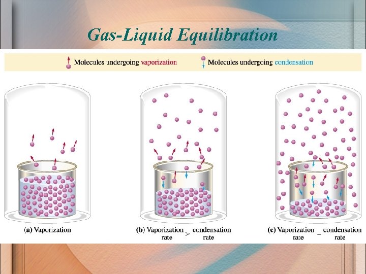 Gas-Liquid Equilibration 