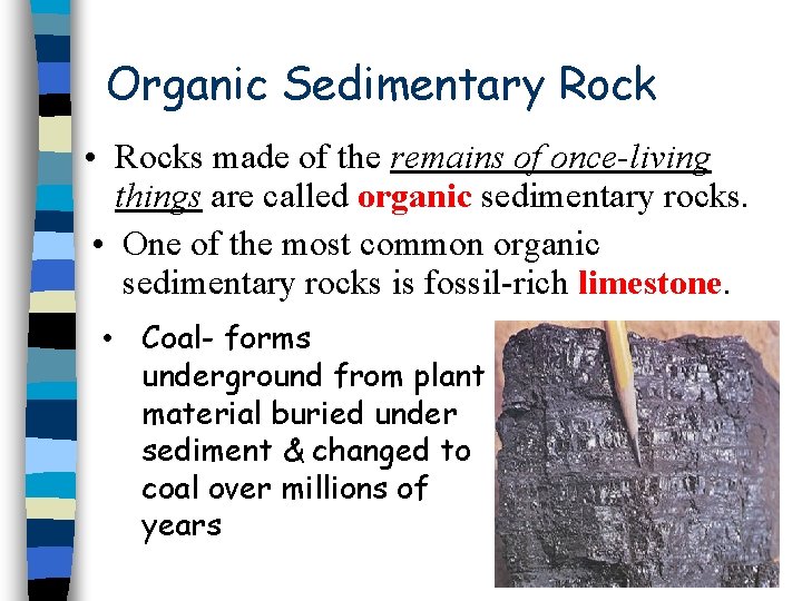 Organic Sedimentary Rock • Rocks made of the remains of once-living things are called