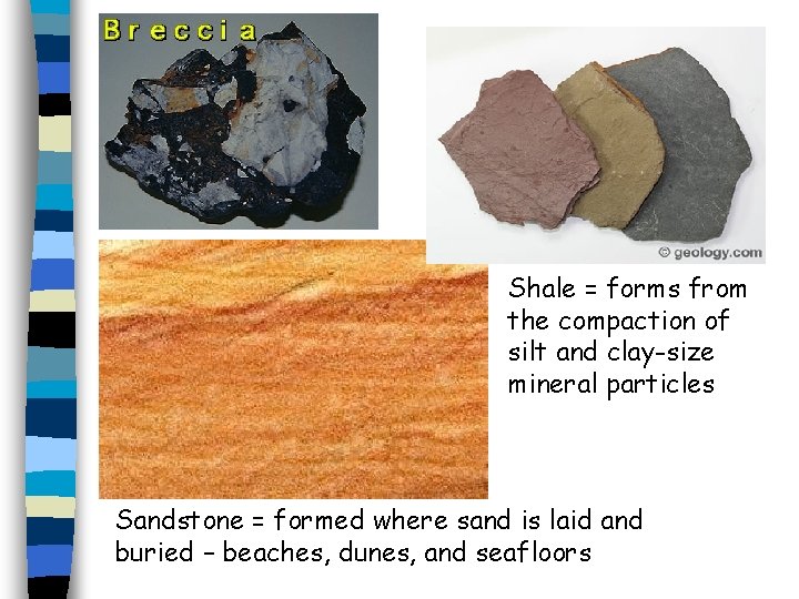 Shale = forms from the compaction of silt and clay-size mineral particles Sandstone =