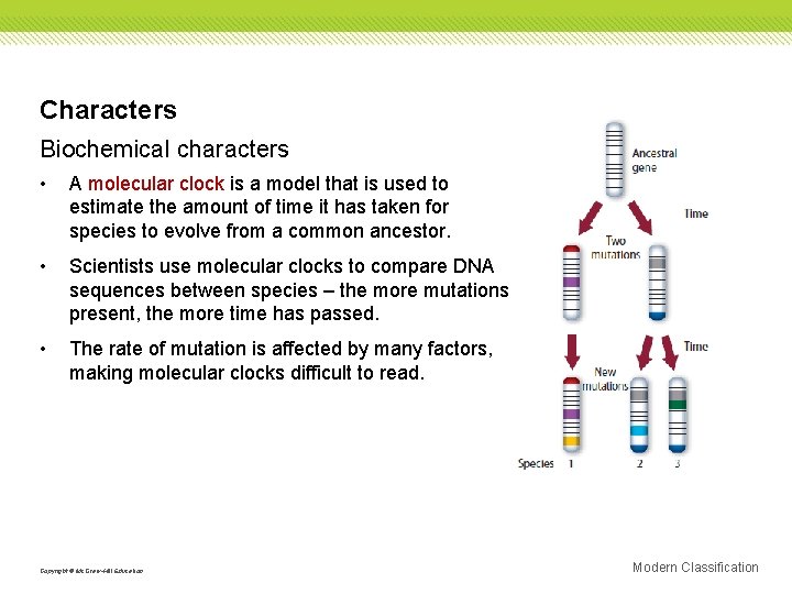 Characters Biochemical characters • A molecular clock is a model that is used to