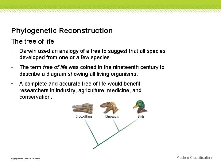 Phylogenetic Reconstruction The tree of life • Darwin used an analogy of a tree