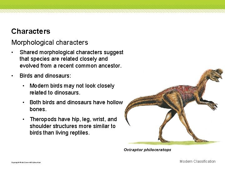 Characters Morphological characters • Shared morphological characters suggest that species are related closely and