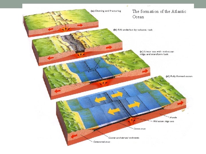 The formation of the Atlantic Ocean 