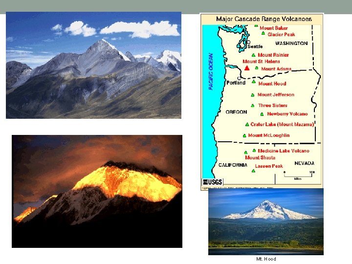 Mt. Hood 