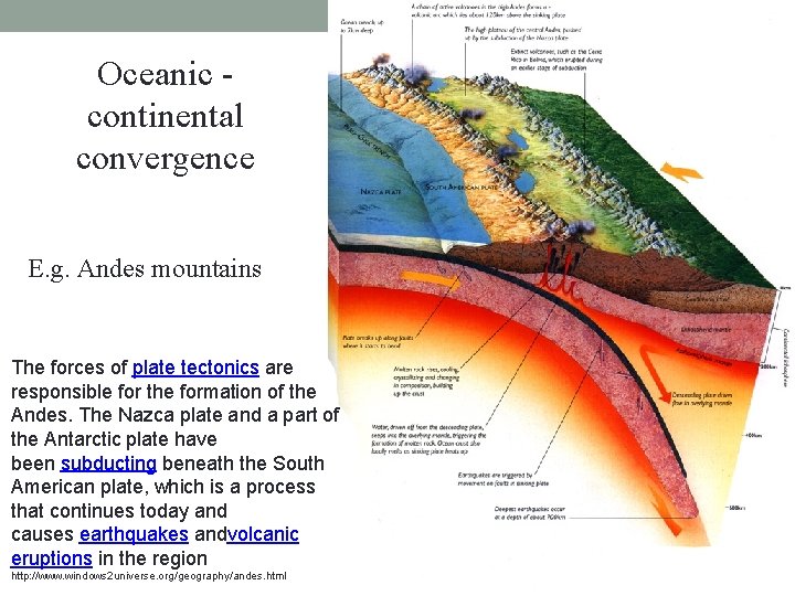 Oceanic continental convergence E. g. Andes mountains The forces of plate tectonics are responsible