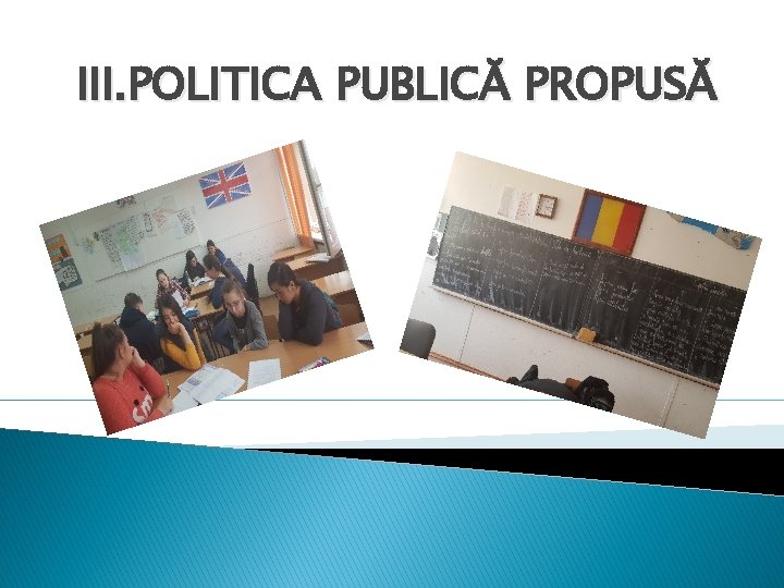 III. POLITICA PUBLICĂ PROPUSĂ 