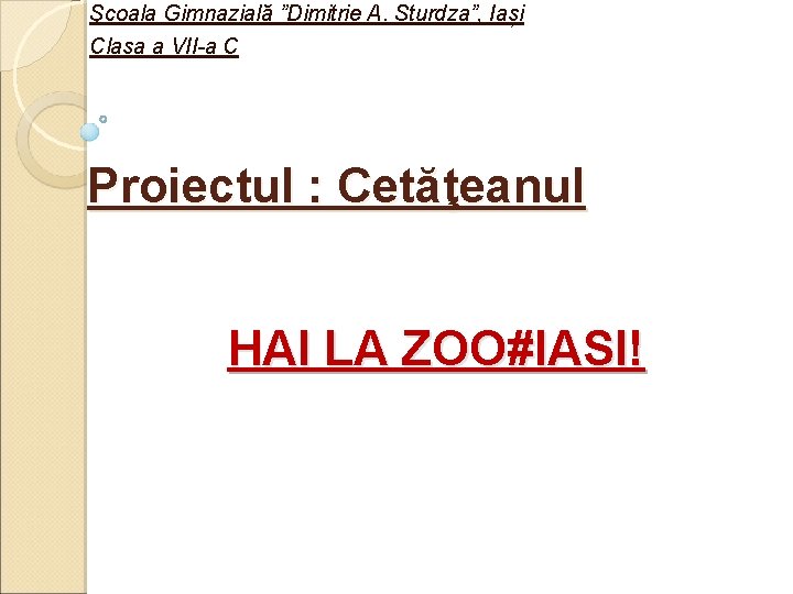 Şcoala Gimnazială ”Dimitrie A. Sturdza”, Iași Clasa a VII-a C Proiectul : Cetăţeanul HAI