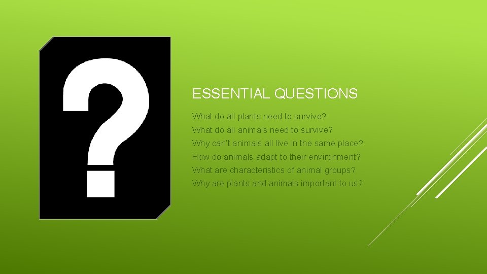 ESSENTIAL QUESTIONS What do all plants need to survive? What do all animals need