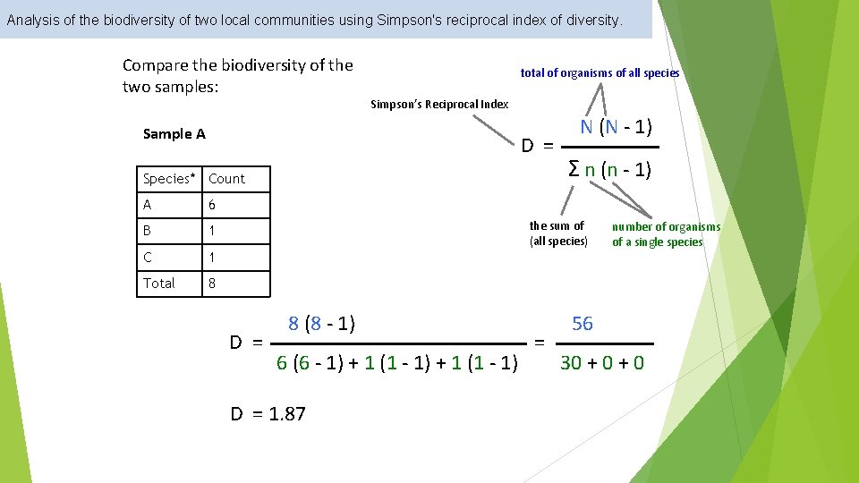 Analysis of the biodiversity of two local communities using Simpson's reciprocal index of diversity. Analysis of the biodiversity of two local communities using Simpson's reciprocal index of diversity.