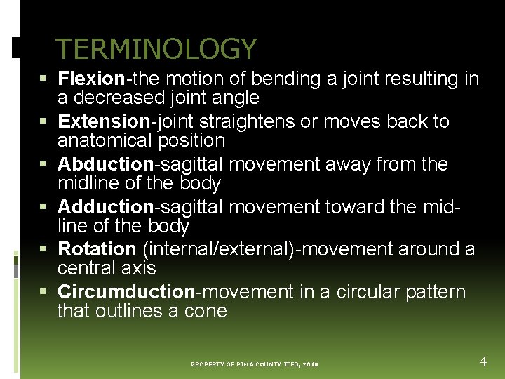 TERMINOLOGY Flexion-the motion of bending a joint resulting in a decreased joint angle Extension-joint