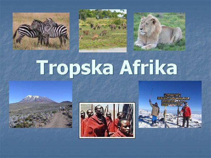 Tropska Afrika 