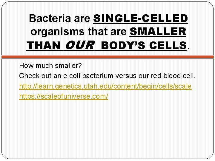 Bacteria are SINGLE-CELLED organisms that are SMALLER THAN OUR BODY’S CELLS. How much smaller?