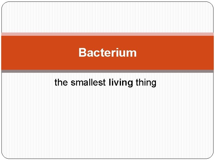 Bacterium the smallest living thing 