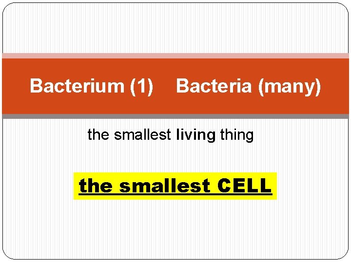 Bacterium (1) Bacteria (many) the smallest living the smallest CELL 