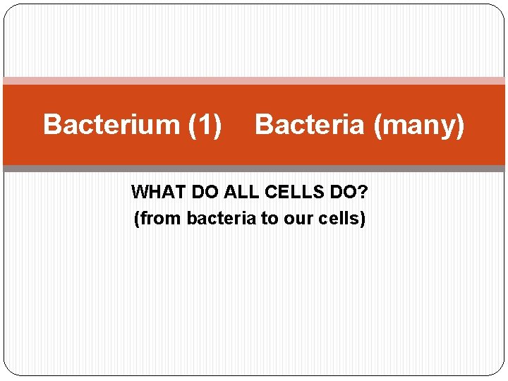 Bacterium (1) Bacteria (many) WHAT DO ALL CELLS DO? (from bacteria to our cells)