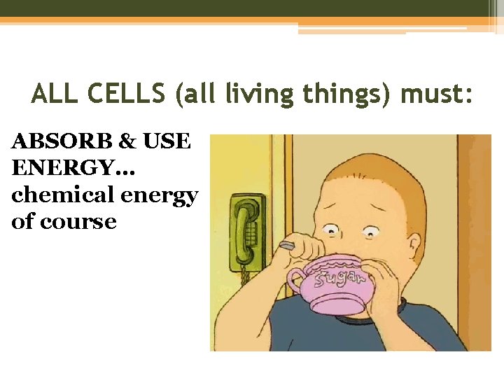 ALL CELLS (all living things) must: ABSORB & USE ENERGY… chemical energy of course