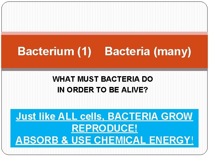 Bacterium (1) Bacteria (many) WHAT MUST BACTERIA DO IN ORDER TO BE ALIVE? Just