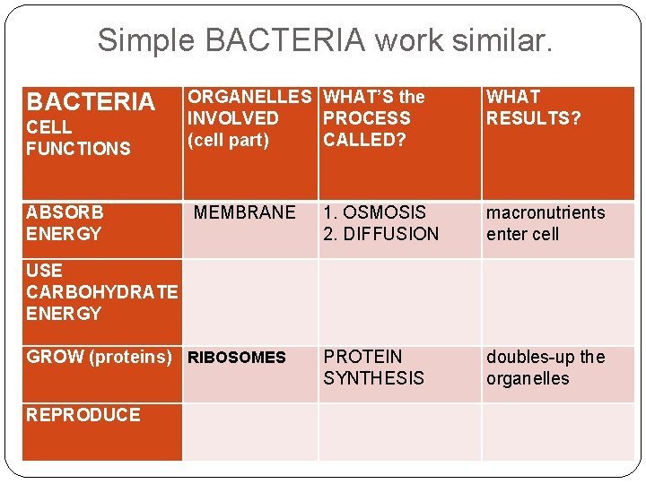 Simple BACTERIA work similar. BACTERIA CELL FUNCTIONS ABSORB ENERGY ORGANELLES WHAT’S the INVOLVED PROCESS