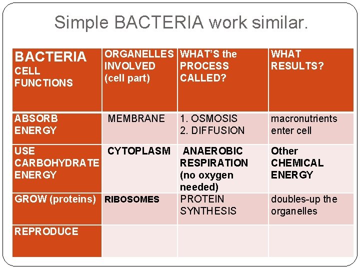 Simple BACTERIA work similar. BACTERIA CELL FUNCTIONS ABSORB ENERGY ORGANELLES WHAT’S the INVOLVED PROCESS