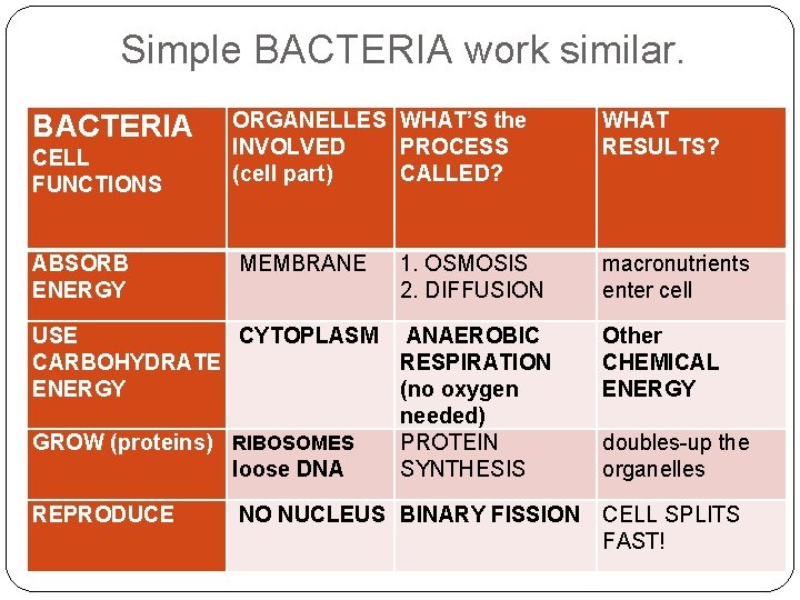 Simple BACTERIA work similar. BACTERIA CELL FUNCTIONS ABSORB ENERGY ORGANELLES WHAT’S the INVOLVED PROCESS