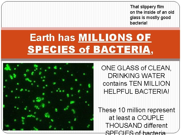 That slippery film on the inside of an old glass is mostly good bacteria!