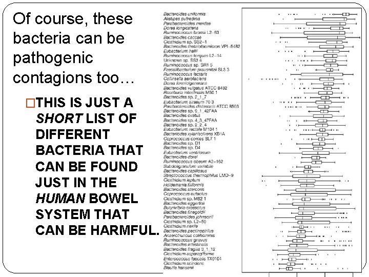 Of course, these bacteria can be pathogenic contagions too… �THIS IS JUST A SHORT