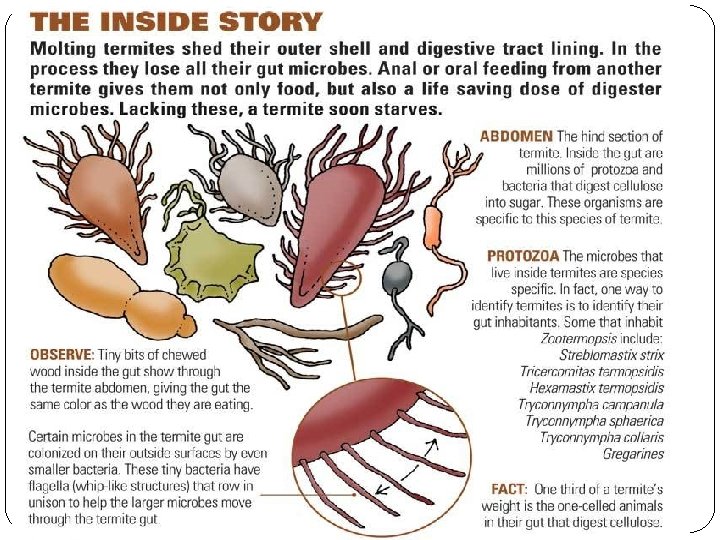 freaky fact of the day! 